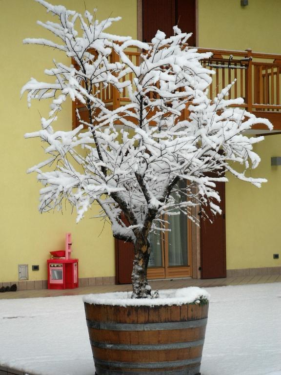 Agritur Ai Masi Villa Pergolese Kültér fotó