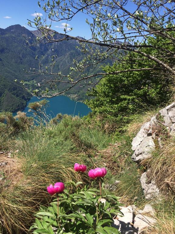 Agritur Ai Masi Villa Pergolese Kültér fotó